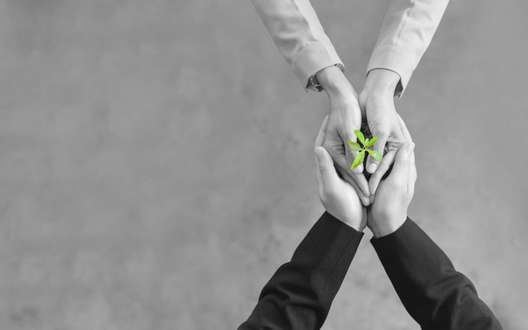 What are the three main steps for a sustainable business?